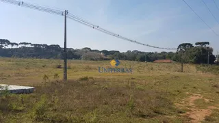 Terreno / Lote / Condomínio à venda, 114950m² no Roseira, São José dos Pinhais - Foto 9
