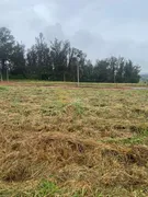 Terreno / Lote / Condomínio à venda, 250m² no Colinas do Castelo, Jaguariúna - Foto 6