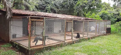 Fazenda / Sítio / Chácara com 4 Quartos à venda, 40000m² no Area Rural do Paranoa, Brasília - Foto 32