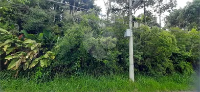 Fazenda / Sítio / Chácara à venda, 96000m² no Serra da Cantareira, Mairiporã - Foto 5