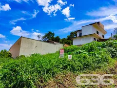 Terreno / Lote / Condomínio à venda, 257m² no Floresta, Joinville - Foto 8