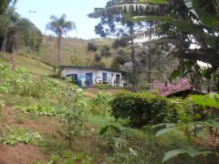 Fazenda / Sítio / Chácara com 2 Quartos à venda, 4000m² no Santa Cruz, Santo Antônio do Pinhal - Foto 9