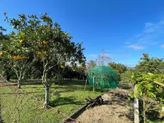 Fazenda / Sítio / Chácara com 3 Quartos à venda, 40000m² no Centro, Cocal do Sul - Foto 5