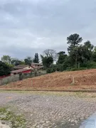 Terreno / Lote / Condomínio à venda, 290m² no Feitoria, São Leopoldo - Foto 3