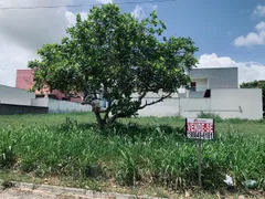 Terreno / Lote / Condomínio à venda, 200m² no Centro, Macaíba - Foto 13