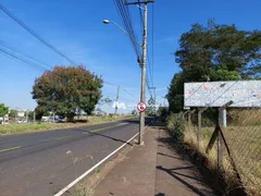 Terreno / Lote Comercial à venda, 8000m² no Jardim Yolanda, São José do Rio Preto - Foto 7