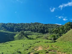 Fazenda / Sítio / Chácara com 3 Quartos à venda, 484000m² no São Francisco Xavier, São José dos Campos - Foto 16