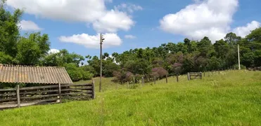Fazenda / Sítio / Chácara com 4 Quartos à venda, 250m² no Bairro do Pinhal, Limeira - Foto 20