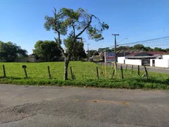 Terreno / Lote / Condomínio à venda, 1145m² no Butiatuvinha, Curitiba - Foto 15