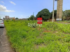 Terreno / Lote / Condomínio à venda, 1450m² no Alto Umuarama, Uberlândia - Foto 2