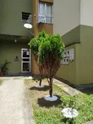 Apartamento com 2 Quartos à venda, 50m² no PARQUE DAS ACÁCIAS, Betim - Foto 6