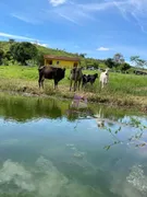 Terreno / Lote / Condomínio à venda, 1000m² no Jardim Bom Jesus, Pirapora do Bom Jesus - Foto 7