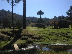 Fazenda / Sítio / Chácara com 1 Quarto à venda, 400000m² no Centro, Bocaiúva do Sul - Foto 5