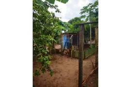Fazenda / Sítio / Chácara com 2 Quartos à venda, 250m² no Centro, Guapiaçu - Foto 26