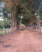 Fazenda / Sítio / Chácara com 2 Quartos à venda, 290400m² no Zona Rural, Mossâmedes - Foto 1