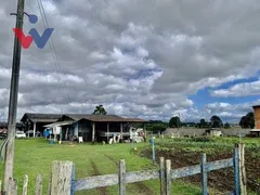 Galpão / Depósito / Armazém à venda, 500m² no Colônia Murici, São José dos Pinhais - Foto 4