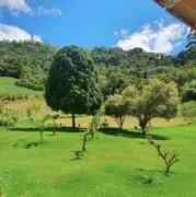 Fazenda / Sítio / Chácara com 3 Quartos à venda, 400m² no Zona Rural, Domingos Martins - Foto 6