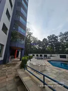 Apartamento com 4 Quartos à venda, 142m² no Vila Indiana, São Paulo - Foto 42