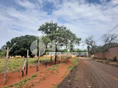 Terreno / Lote / Condomínio à venda, 5000m² no Morada dos Pássaros, Uberlândia - Foto 2