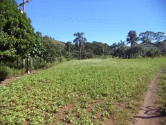 Fazenda / Sítio / Chácara com 3 Quartos à venda no Providencia, Teresópolis - Foto 5