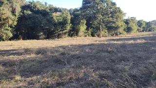 Fazenda / Sítio / Chácara à venda, 20000m² no Braga Piedade do Paraopeba, Brumadinho - Foto 3