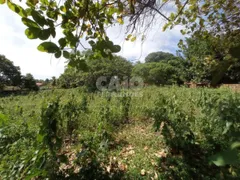 Terreno / Lote / Condomínio à venda, 1600m² no Jardins, São Gonçalo do Amarante - Foto 5
