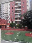 Apartamento com 2 Quartos à venda, 56m² no Rio Pequeno, São Paulo - Foto 11