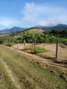 Terreno / Lote / Condomínio à venda no Centro, Virgínia - Foto 2