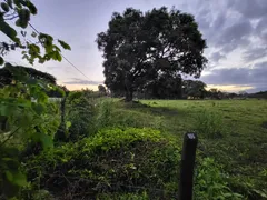 Fazenda / Sítio / Chácara com 2 Quartos à venda, 39000m² no Parque Duque de Caxias, Duque de Caxias - Foto 27