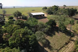Fazenda / Sítio / Chácara à venda, 363000m² no Centro, Boituva - Foto 9
