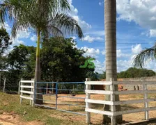 Fazenda / Sítio / Chácara com 3 Quartos à venda, 36m² no Centro, Carmo do Cajuru - Foto 3