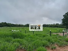 Fazenda / Sítio / Chácara com 3 Quartos à venda, 150m² no Zona Rural, São Valério da Natividade - Foto 14