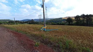 Fazenda / Sítio / Chácara à venda, 2400m² no Coqueiral, Cascavel - Foto 1