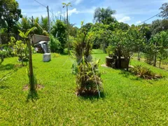 Fazenda / Sítio / Chácara com 3 Quartos à venda, 2000m² no Bananal, Campinas - Foto 5