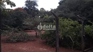 Fazenda / Sítio / Chácara com 3 Quartos à venda, 300m² no Panorama, Uberlândia - Foto 27