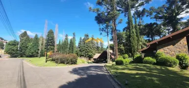 Terreno / Lote / Condomínio à venda, 2358m² no Floresta, Gramado - Foto 23