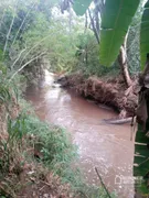 Fazenda / Sítio / Chácara com 2 Quartos à venda, 200m² no Agua Boa, Paiçandu - Foto 24