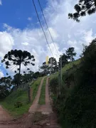 Casa com 4 Quartos à venda, 140m² no Centro, Campos do Jordão - Foto 56