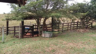 Fazenda / Sítio / Chácara com 2 Quartos à venda, 60500m² no , Cunha - Foto 2