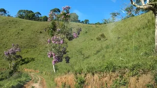 Fazenda / Sítio / Chácara com 3 Quartos à venda, 363000m² no Bairro Alto, Natividade da Serra - Foto 4