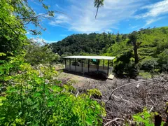 Fazenda / Sítio / Chácara com 3 Quartos à venda, 100m² no Area Rural de Amparo, Amparo - Foto 2