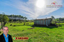 Fazenda / Sítio / Chácara com 2 Quartos à venda, 120m² no Campo da Brazina, Araricá - Foto 38