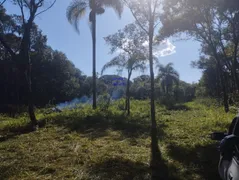 Fazenda / Sítio / Chácara com 1 Quarto à venda, 18500m² no , Alto Paraná - Foto 14