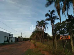 Fazenda / Sítio / Chácara com 1 Quarto à venda, 5000m² no Panorama, Uberlândia - Foto 9