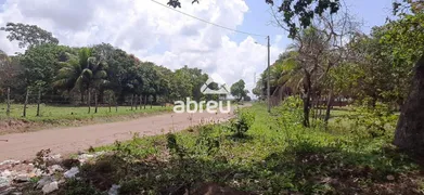 Terreno / Lote / Condomínio à venda, 1600m² no Santa Terezinha, São Gonçalo do Amarante - Foto 7