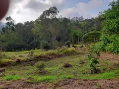 Terreno / Lote / Condomínio à venda, 12000m² no Serrinha, Bragança Paulista - Foto 22