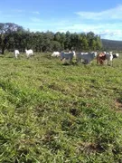 Fazenda / Sítio / Chácara com 3 Quartos à venda, 980000000m² no Zona Rural,  - Foto 18
