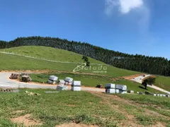 Terreno / Lote / Condomínio à venda, 1000m² no Itaoca, Guararema - Foto 25