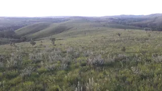 Fazenda / Sítio / Chácara à venda, 21000m² no Paranoá, Brasília - Foto 3