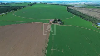 Fazenda / Sítio / Chácara à venda, 1600000m² no Zona Rural, Perdizes - Foto 3